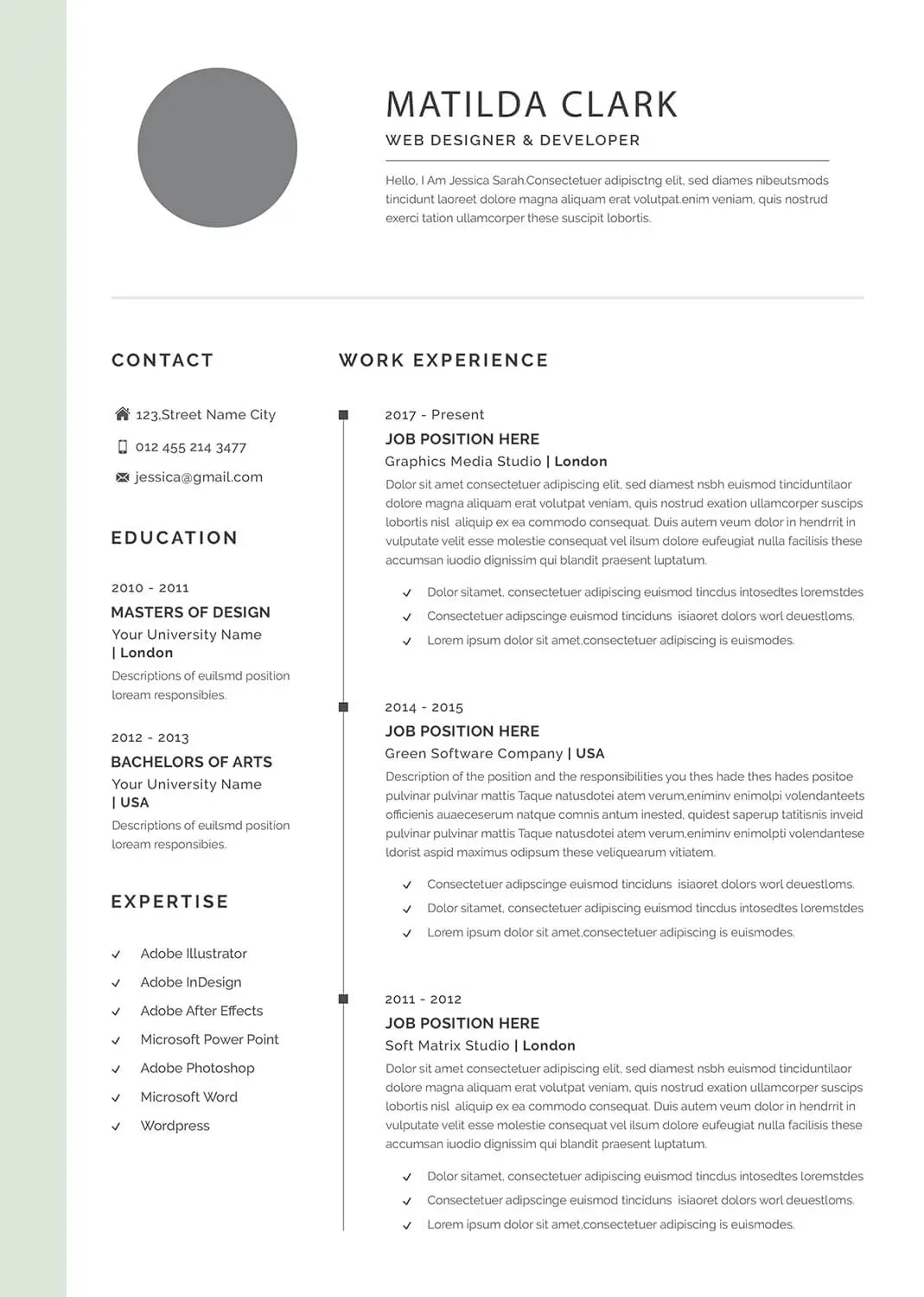 3D Animator Resume Templates
