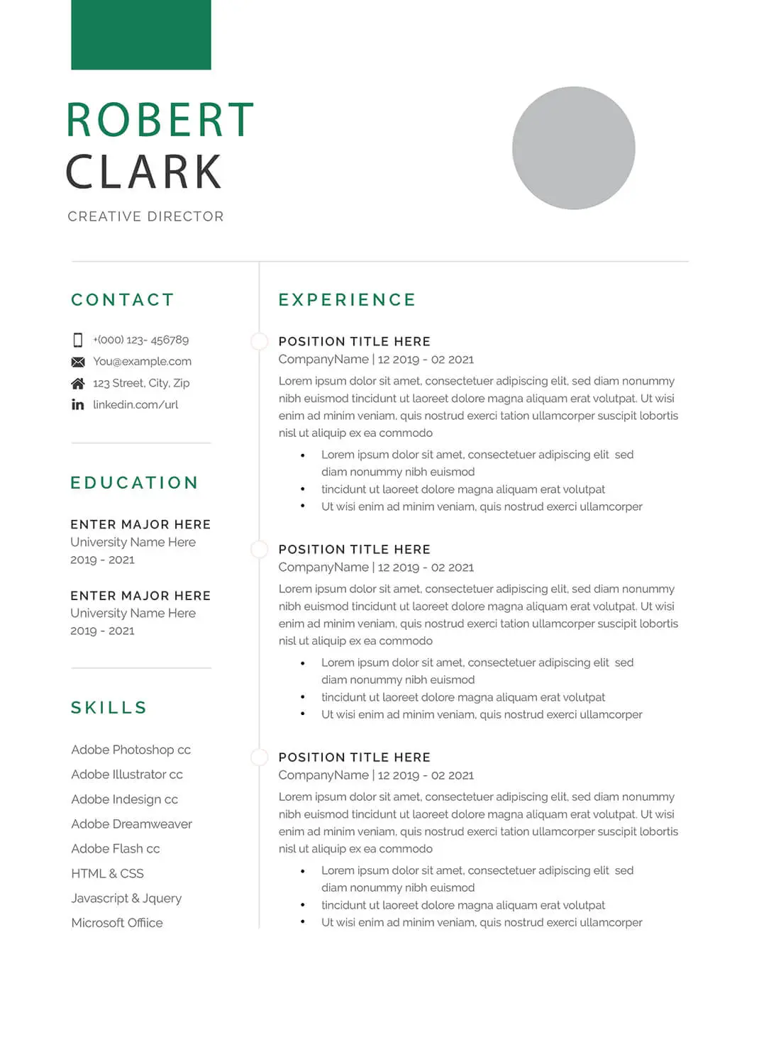 programmer-resume